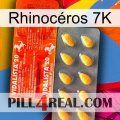 Rhinocéros 7K new01